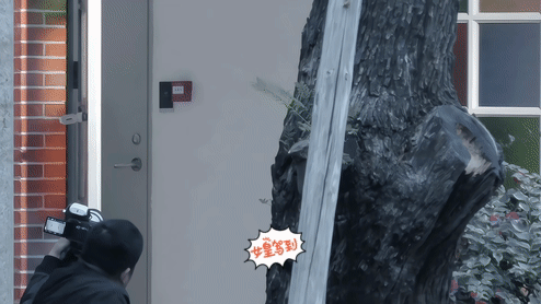 她走出门这段真的像在走T台

尤其是这回眸一笑真绝了

#迪丽热巴# #八卦手册