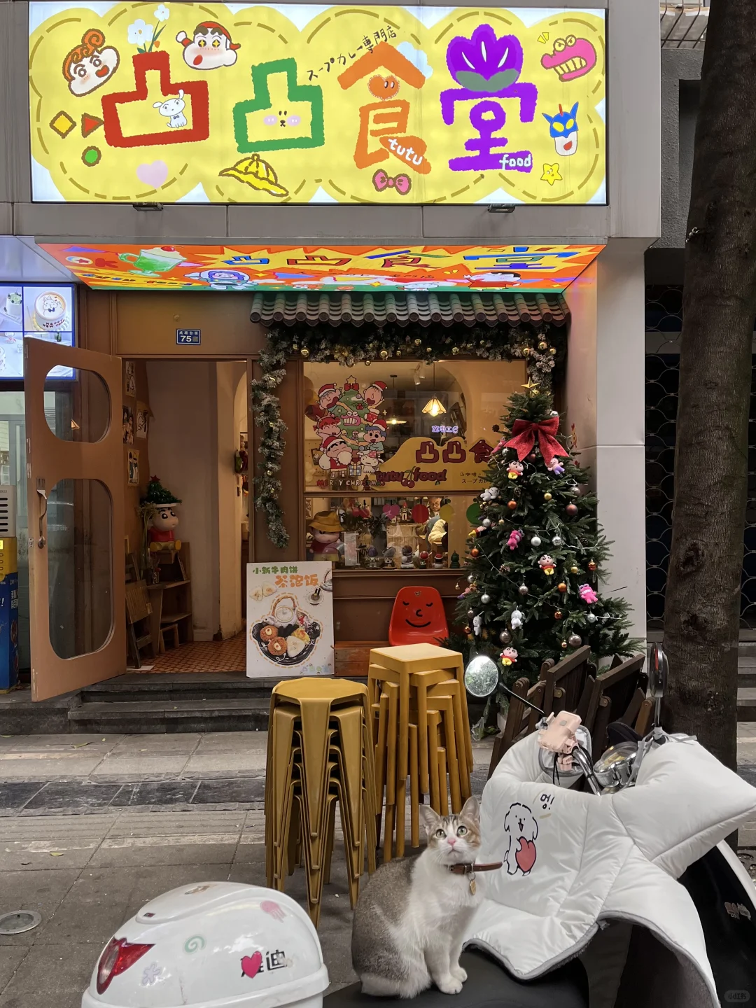 卧卧卧！！是小猫守护的乖乖食堂！