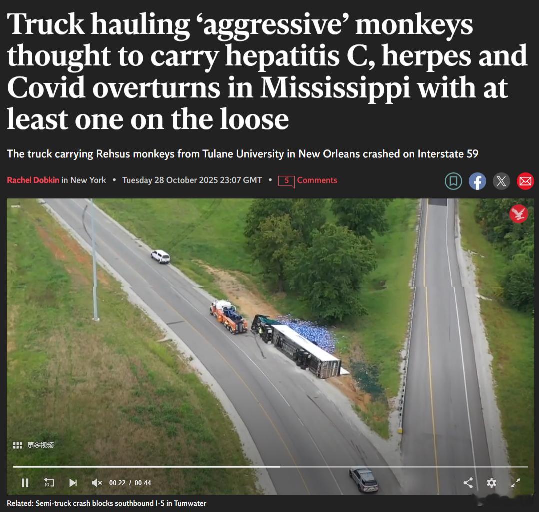 一辆运送疑似携带丙型肝炎、疱疹和新冠病毒的“攻击性”猴子的卡车在美国密西西比州翻