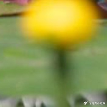 人活一世，谁没遇过失望？为情伤神，为前程焦虑，为闲话辗转。但再大的事，过了就过了