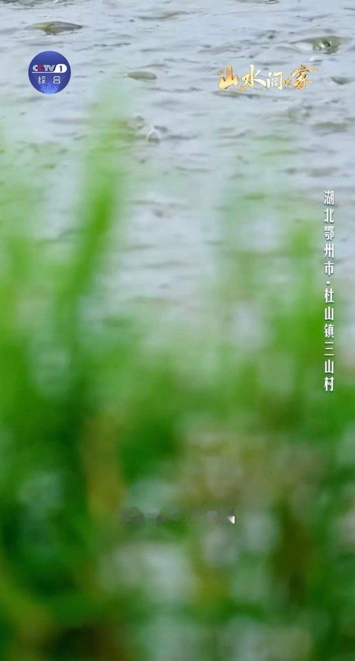当中国乡村美成了封面中国乡村藏着巨型3D课本春天帮邻居阿姨育菜苗，她把育苗盘放在