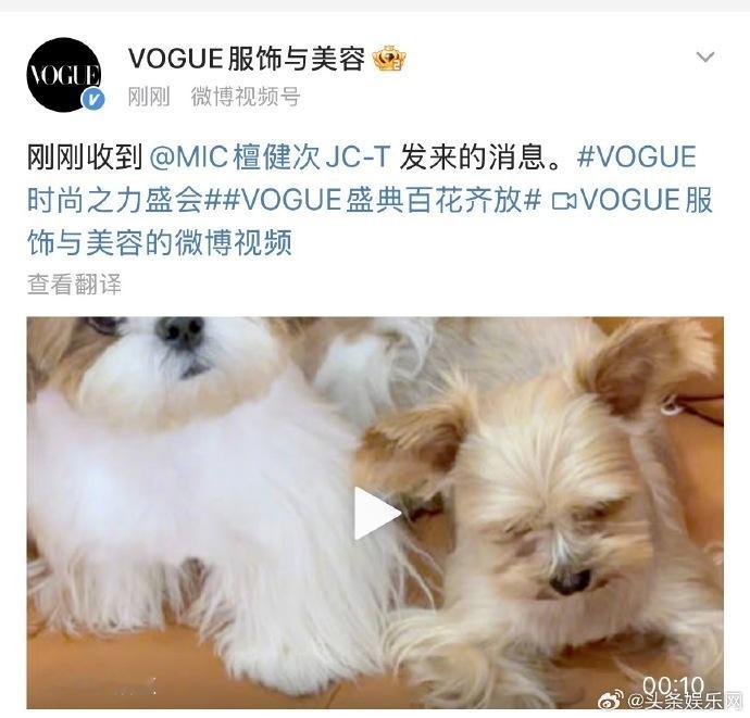 众星录制了 VOGUE 请假视频，一系列众星为 VOGUE 准备的请假视频被呈现
