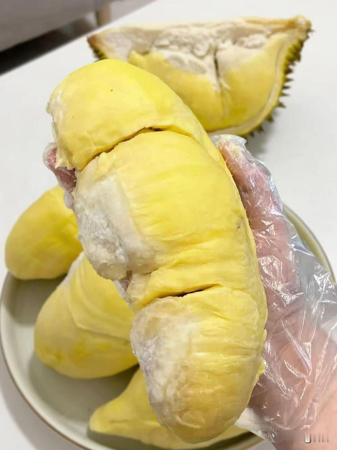 刚开的这个榴莲直接给我香迷糊了！

金黄的果肉肥嘟嘟的，捧在手里沉甸甸的，那绵密