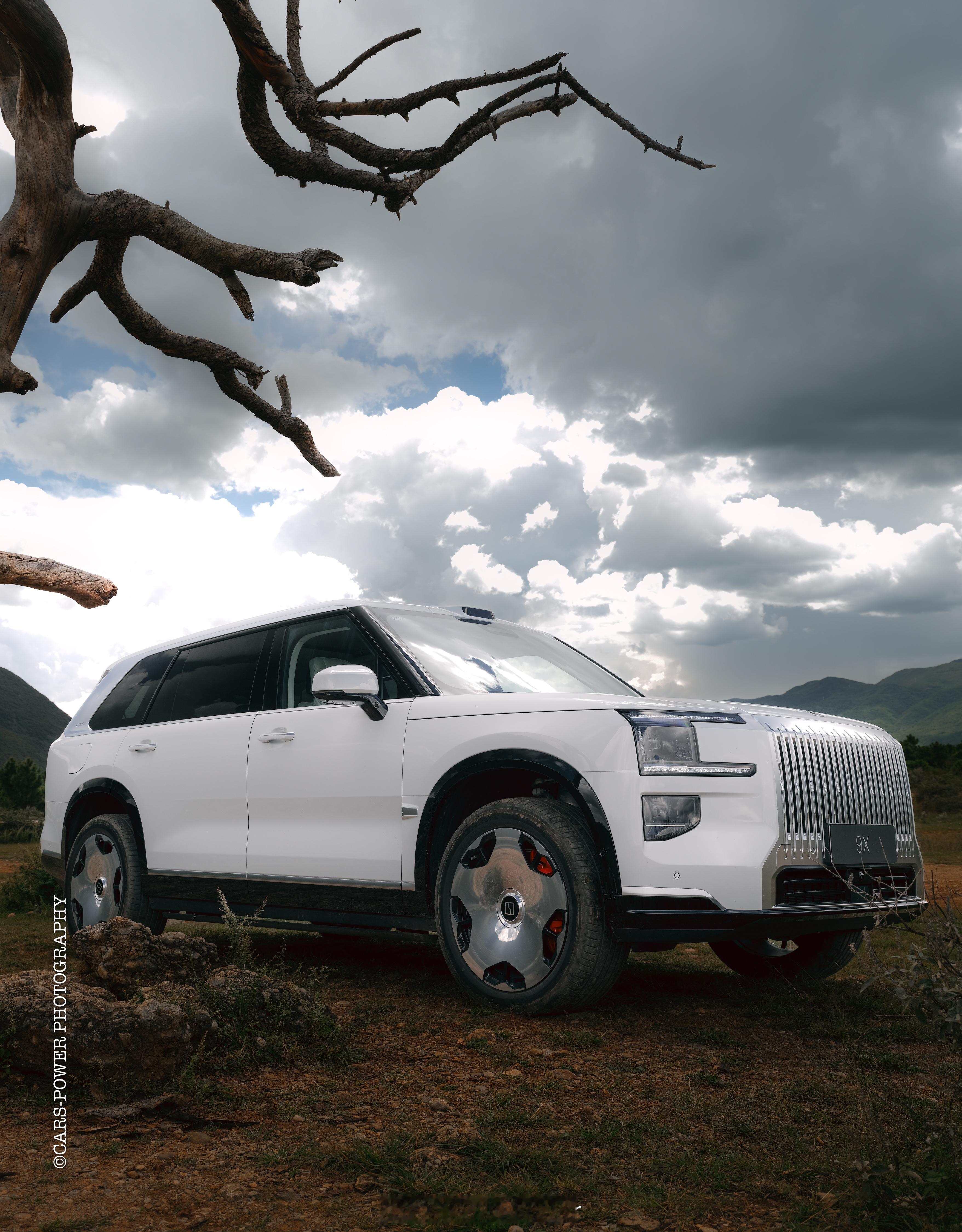 极氪9X三月全国上险量10060台平均售价50大几万的国产车卖到这个量……几年前