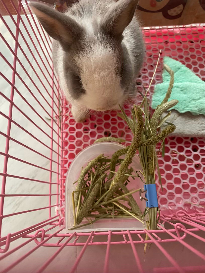 一条plog告别三月每日嘅制定活動時間都唔夠使 