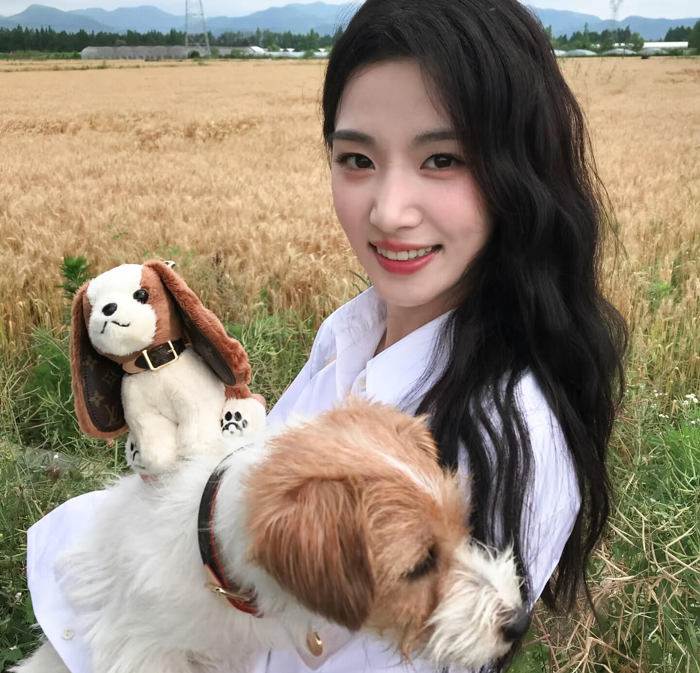 -𝐒𝐇𝐀𝐑𝐄｜卢昱晓头像背景图搭配 ⸝⸝🐈꙳🍀◟🍃。