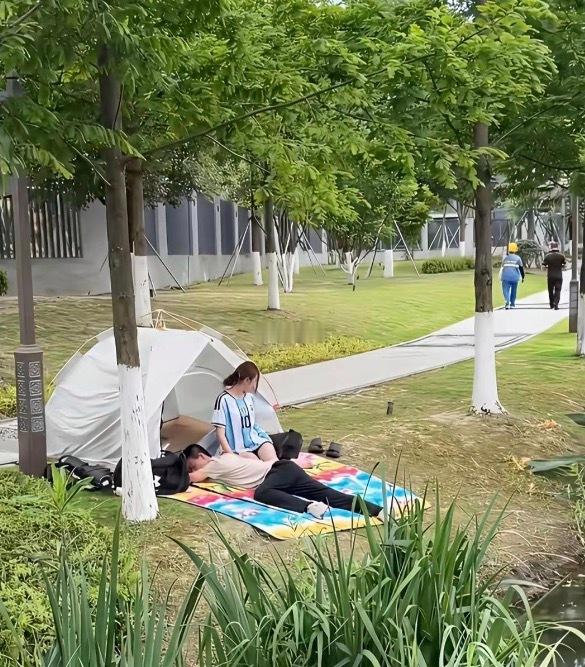他俩什么关系，看着不像是两口子 