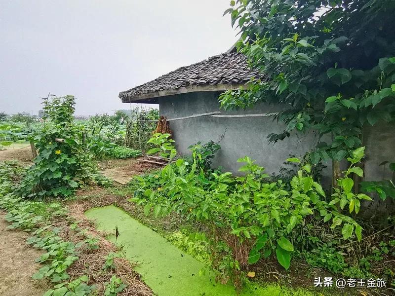 农村的生态环境太适合年轻人生活了。在城市里待久了，每天被汽车尾气和噪音包围，身心