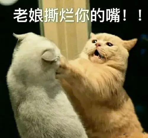 中年少女的6大爱好
1.看短剧
2.买黄金
3.旅游
4.独处喝酒
5.看碎尸案