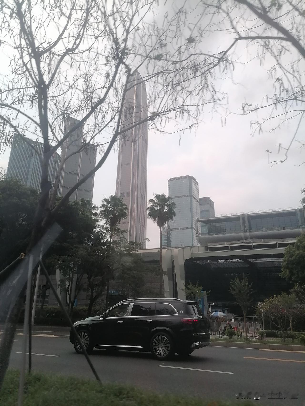 这高楼认识吗？据说是深圳最高大楼，有鹤立鸡群之势！