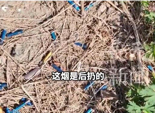 常用的脑袋不长毛，常扔烟头的地方不长草。前一句是开玩笑，后一句是真的。
　　最近