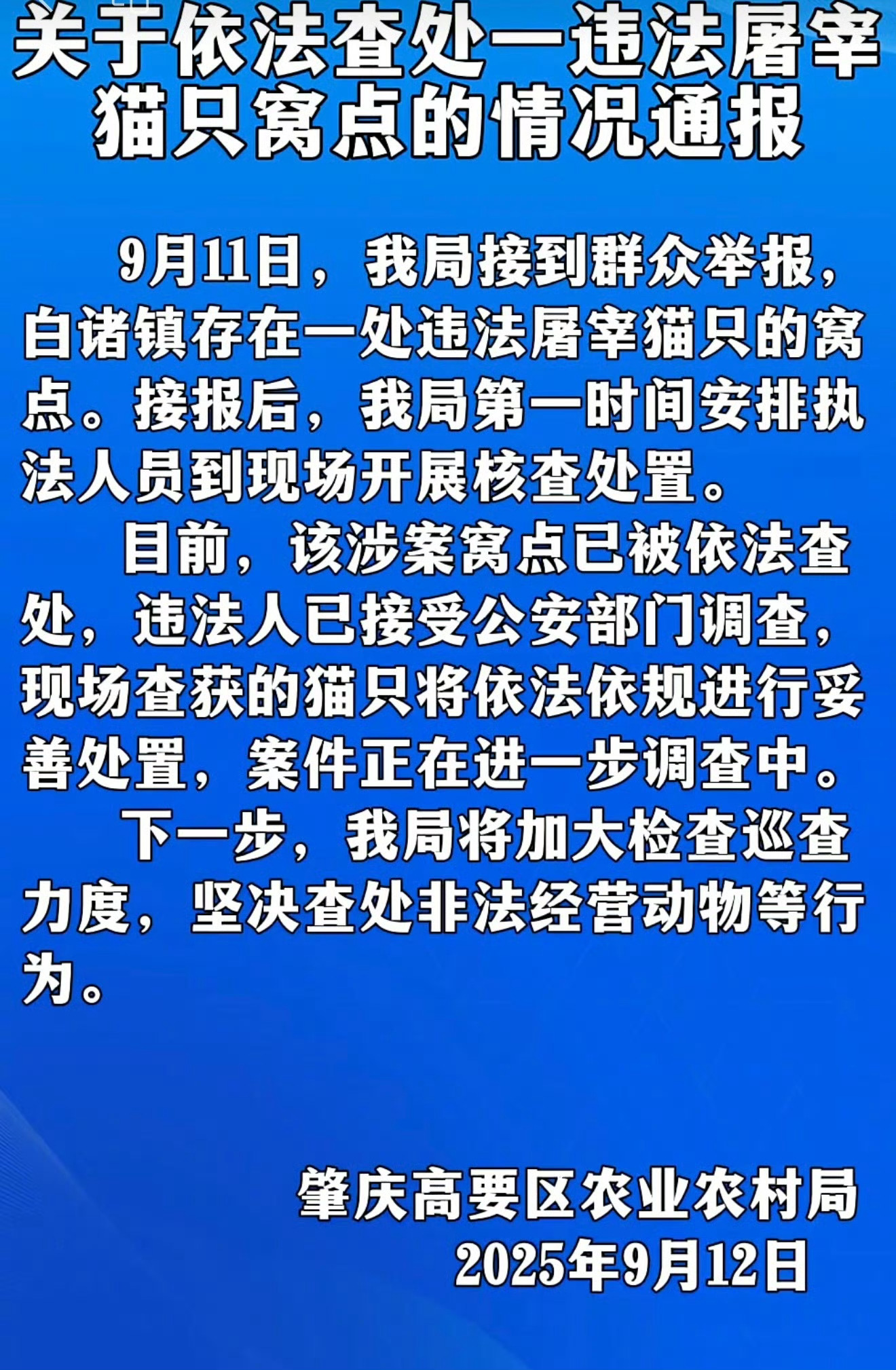 【#广东肇庆一屠宰猫只窝点被查处#：违法人已接受公安部门调查】#官方通报群众举报