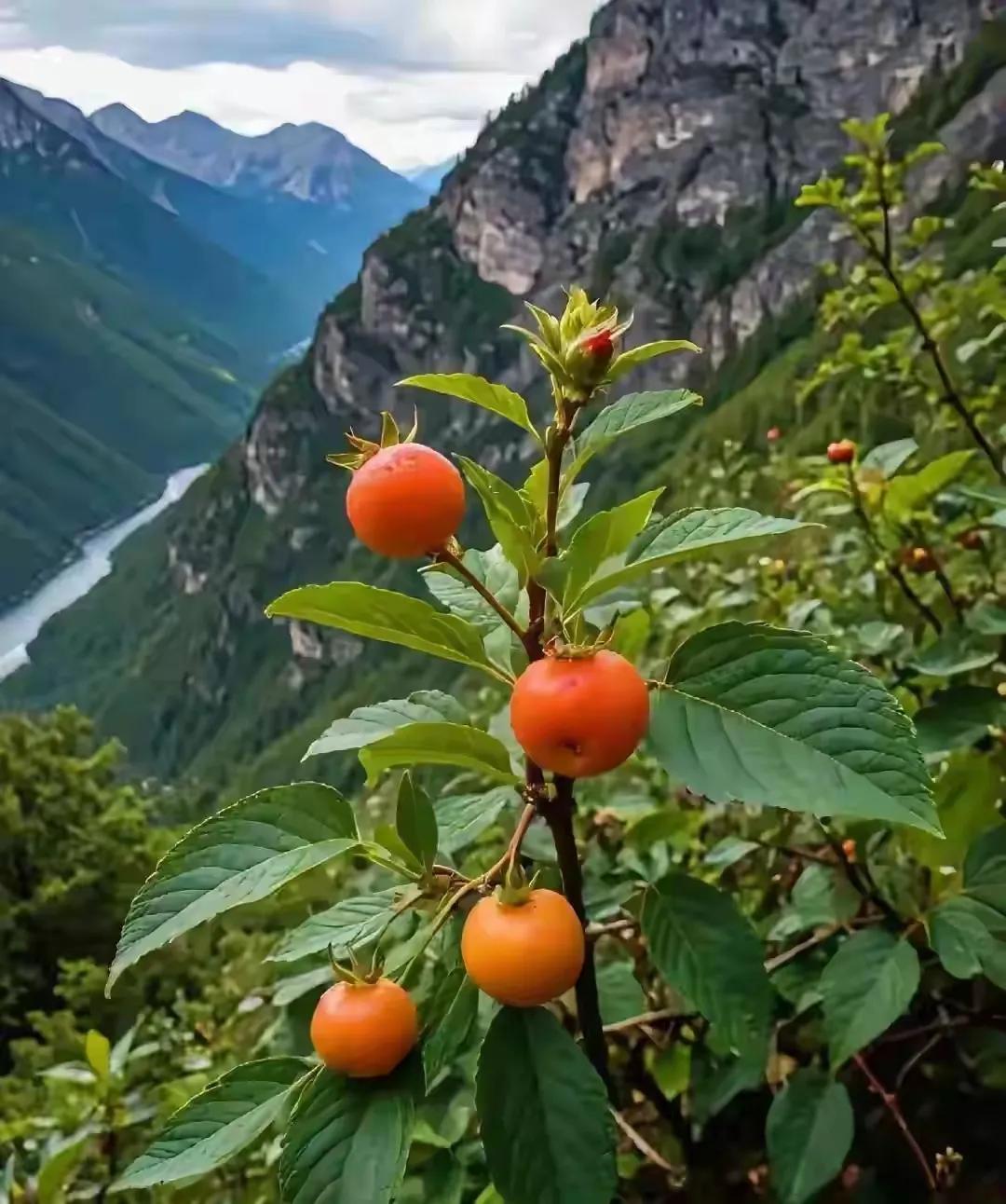 国庆节的时候，广东的网友赵老师一家三口去云南旅游，在那里游山玩水一天下来，准备返