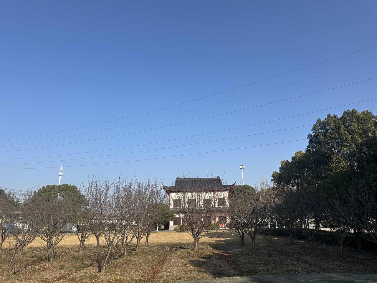 分享手机里随手拍的风景相片