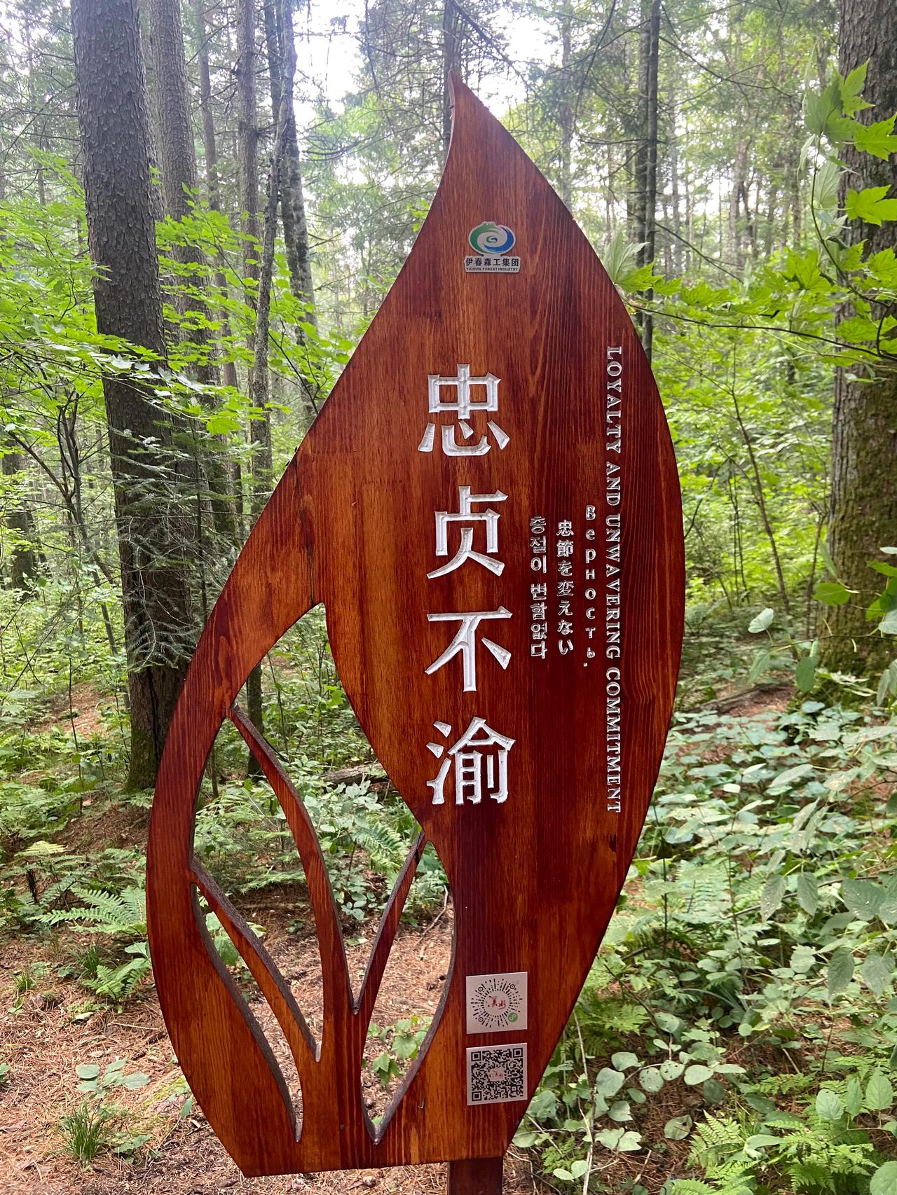 同体连枝

不离不弃[呲牙][呲牙][呲牙]

#寻找热爱表达的你#