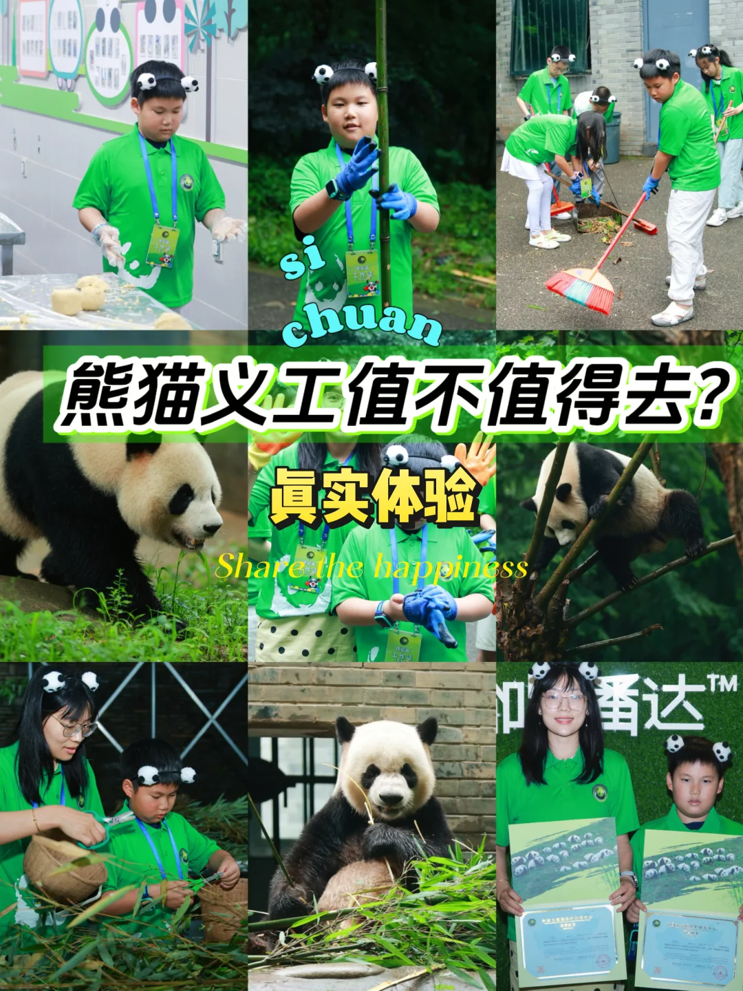 成都遛娃，熊猫义工值不值得去？真实体验攻略