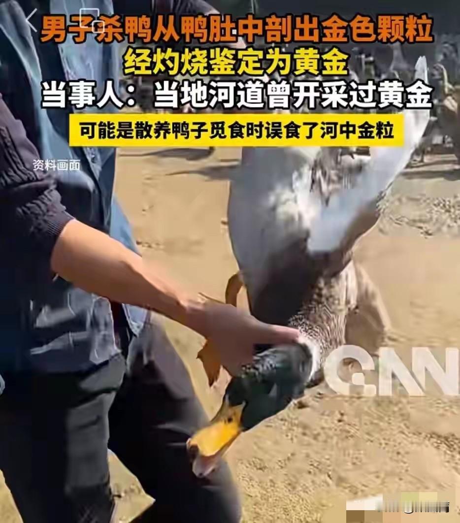 杀鸭竟杀出黄金，这真不是编故事，湖南这位村民的意外收获太让人羡慕了！
 
2月2