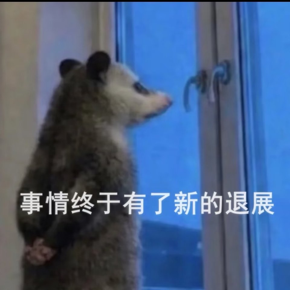 有人懂吗 每次在lr修完特别满意导出来准备发微博的时候感觉预览里看很糟糕 然后回