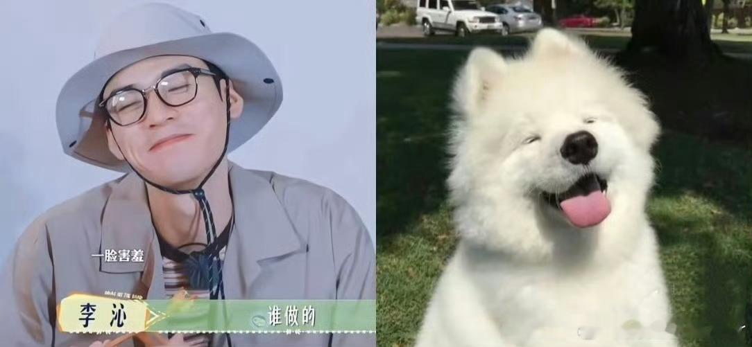 龚俊快被花少团哄成胚胎了花少7龚俊太受宠！辣椒炒肉获全员夸，当导游被赞细心完美，