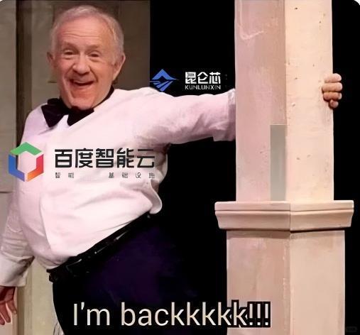 百度AI内化能力的“硬核双证”：昆仑芯撑算力，萝卜快跑破纪录

当AI能力被内化