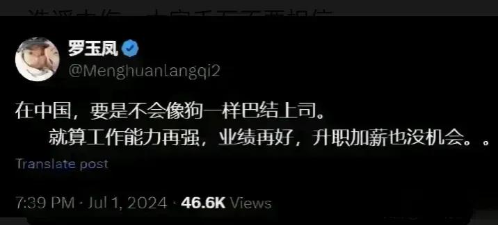 美籍华人罗玉凤在国外大放厥词：“在中国，如果你不会像狗一样巴结上司，再有能力也没