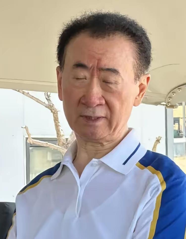 王思聪也不是说回来帮帮他爸。常言道打虎亲兄弟，上阵父子兵，王思聪正值壮年，也不说