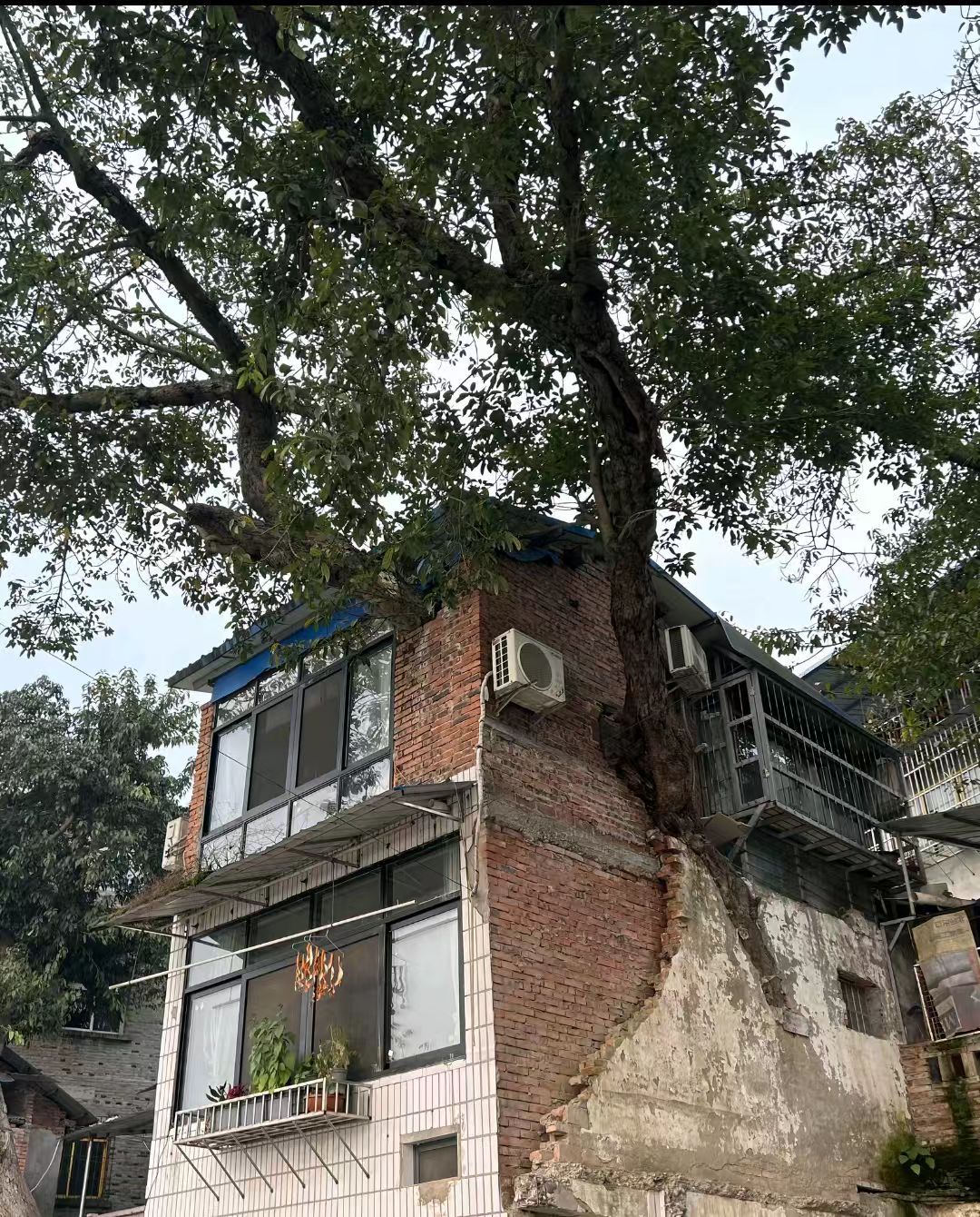 生命其实也没有那么脆弱... 