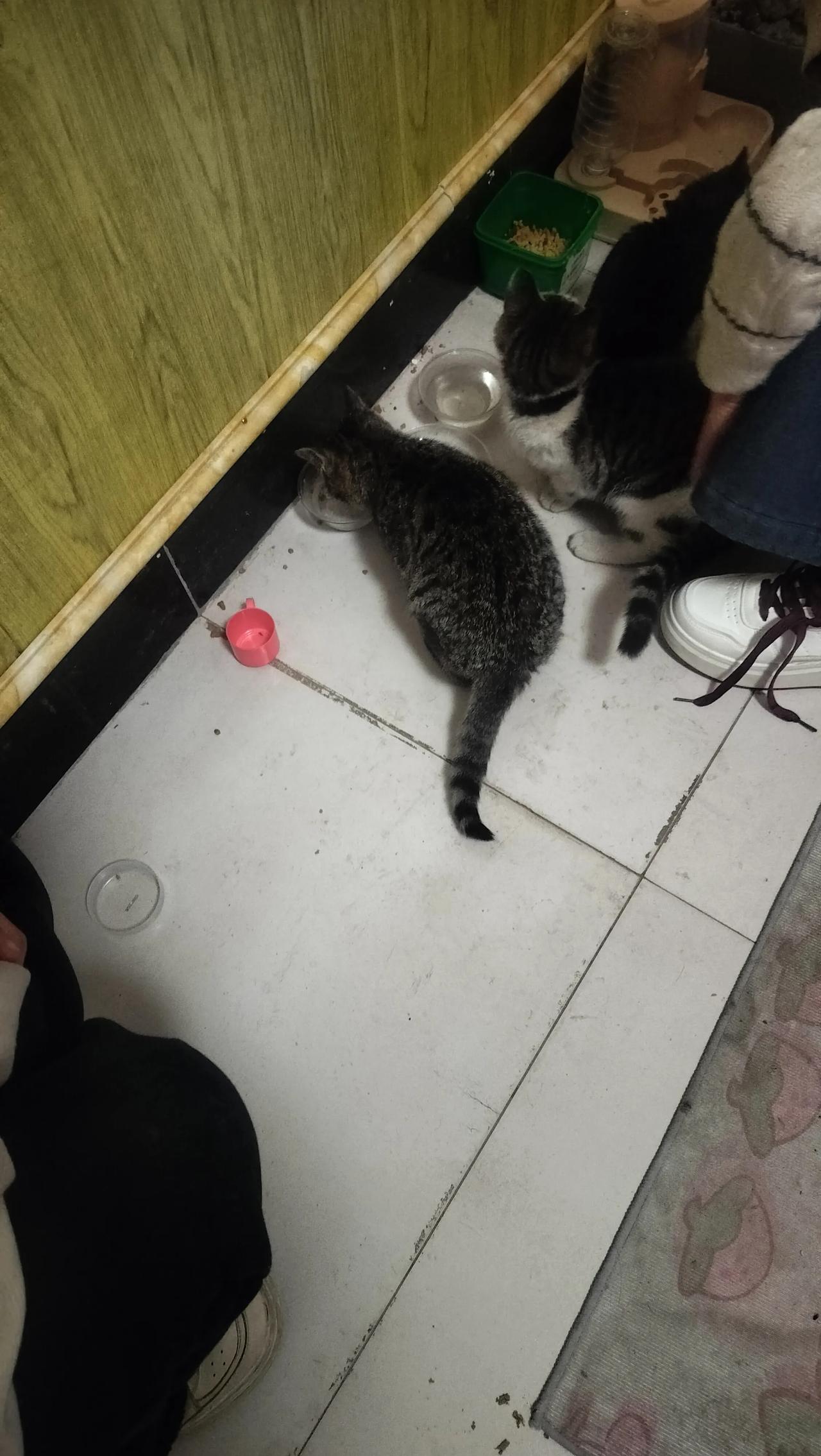 人生重要的是什么
 
我觉得人生重要的，是兜里有俩小钱够花，身边有仨俩好友能唠。