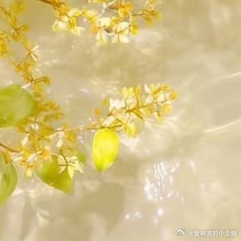 森林驿站每日‬一善阳光‬‬信用‬ 善待别人，是一种优秀的品德，善待自己，是一种优