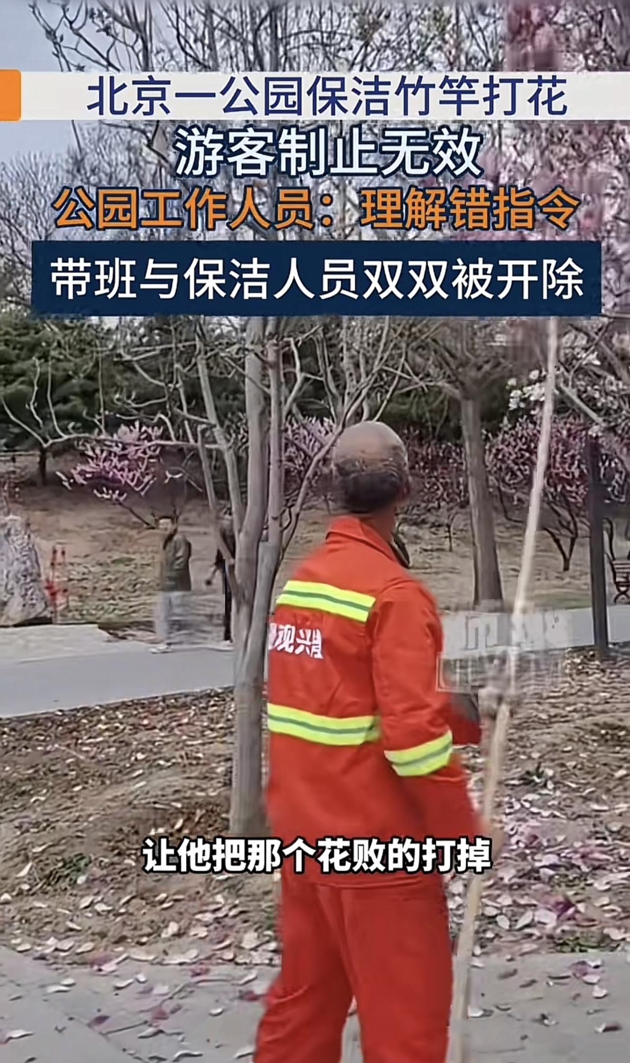 可以看到这位保洁也不容易，头发花白，年纪也大了，他也只是想少扫一些花，减轻一点工