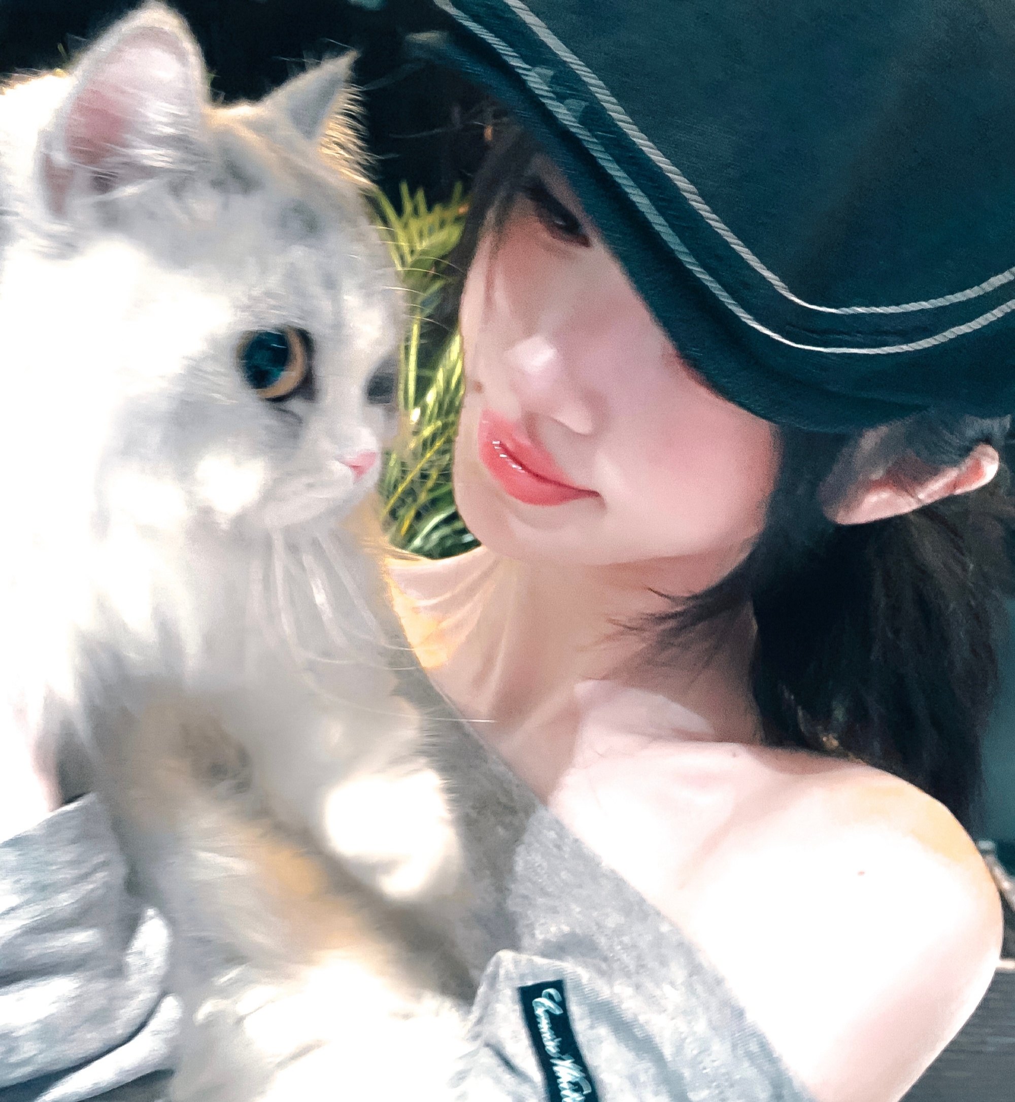 图片中有两只小猫🐱鞠婧祎 ​​​