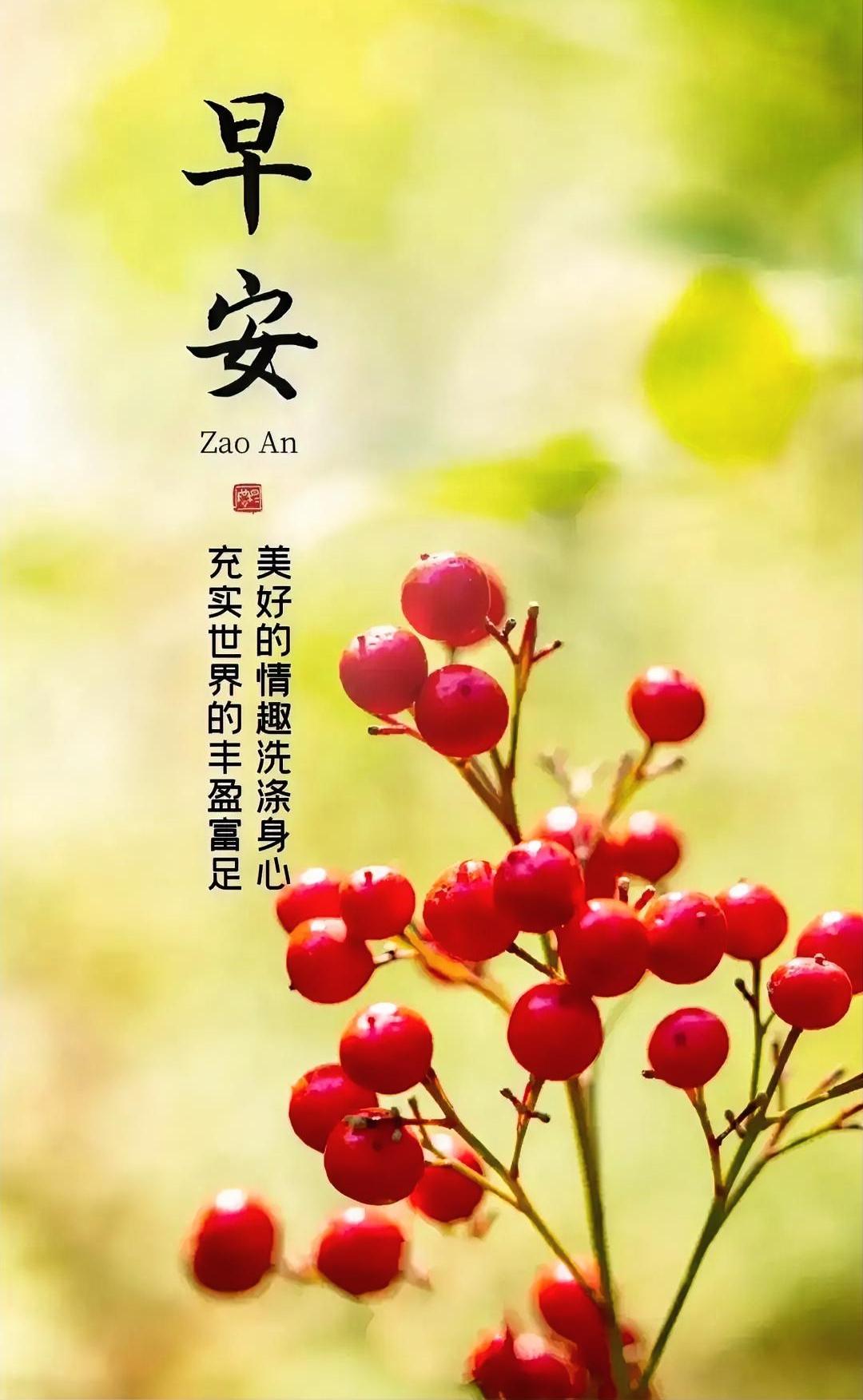 早安！红果映暖阳，美好情趣洗心，充实世界丰盈富足，今日元气满满！
分享清晨美句