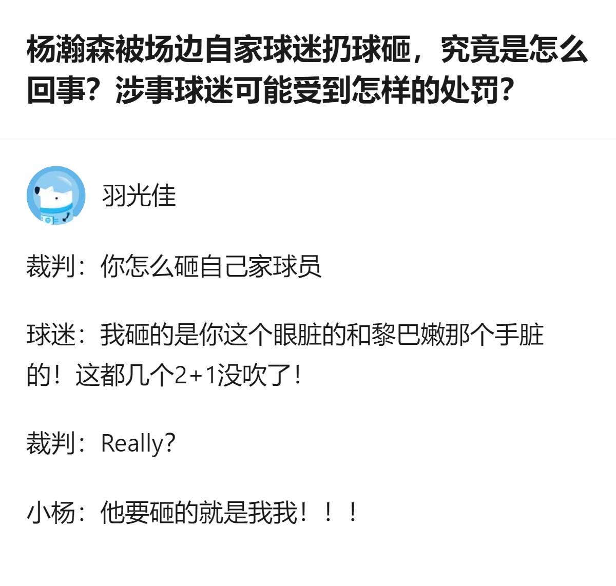 这事最有意思的地方根本不是球迷砸人，是他砸球的理由居然是替自家球员鸣不平，结果把