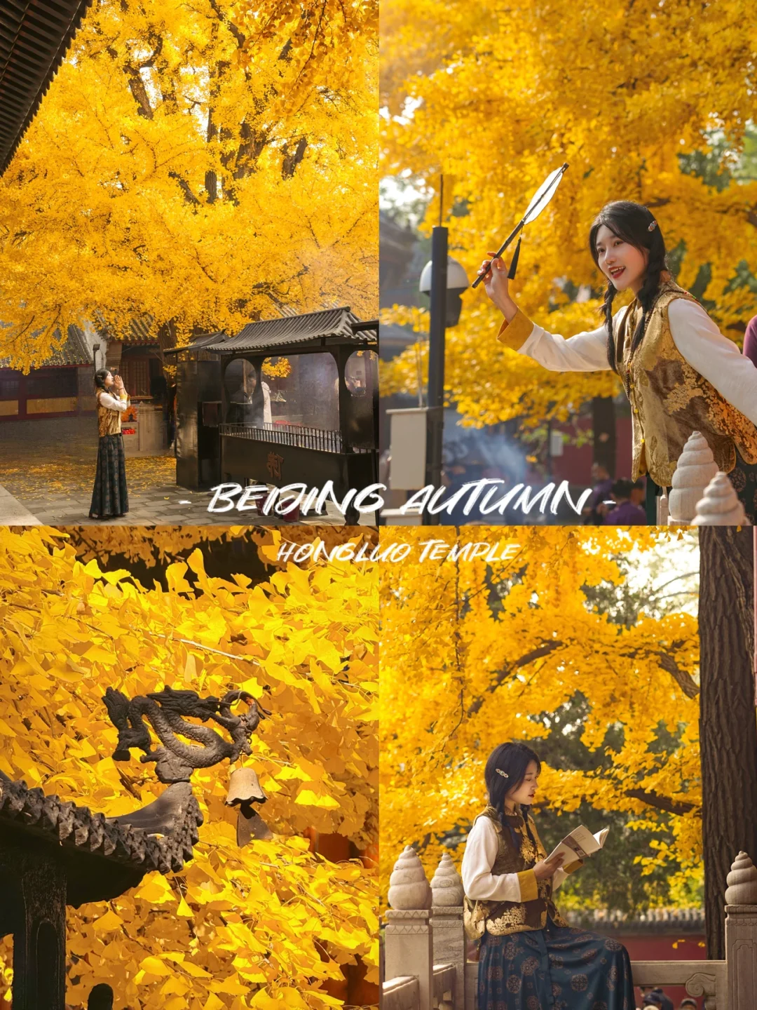 北京📍适合一个人逛一下午的地方（14/100）