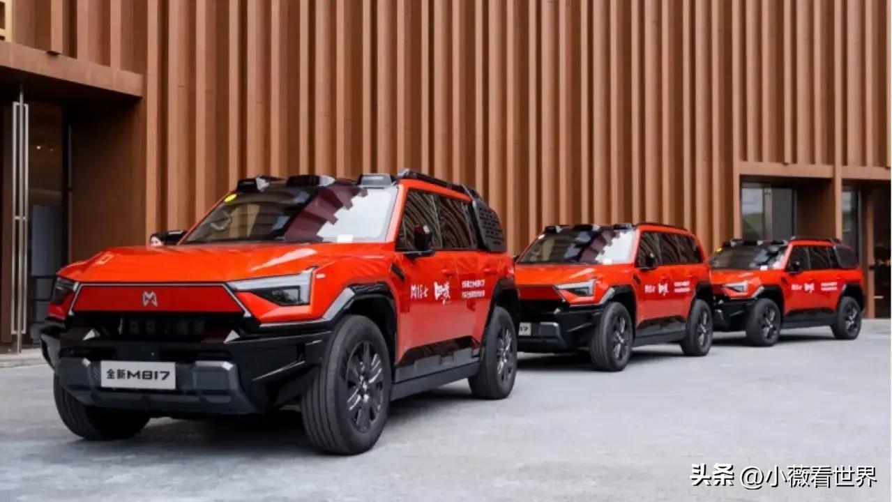 2026买车怎样才不纠结呢？
1、要面子——买特斯拉
2、要舒服——买理想
3、
