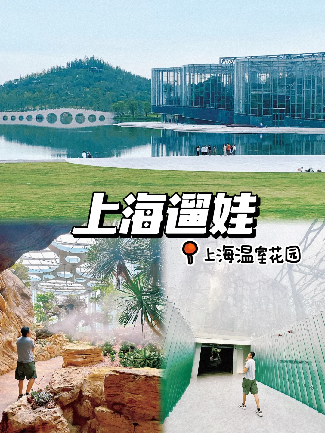 上海阿勒泰🌵居然还藏着巨大的🌵温室花园！