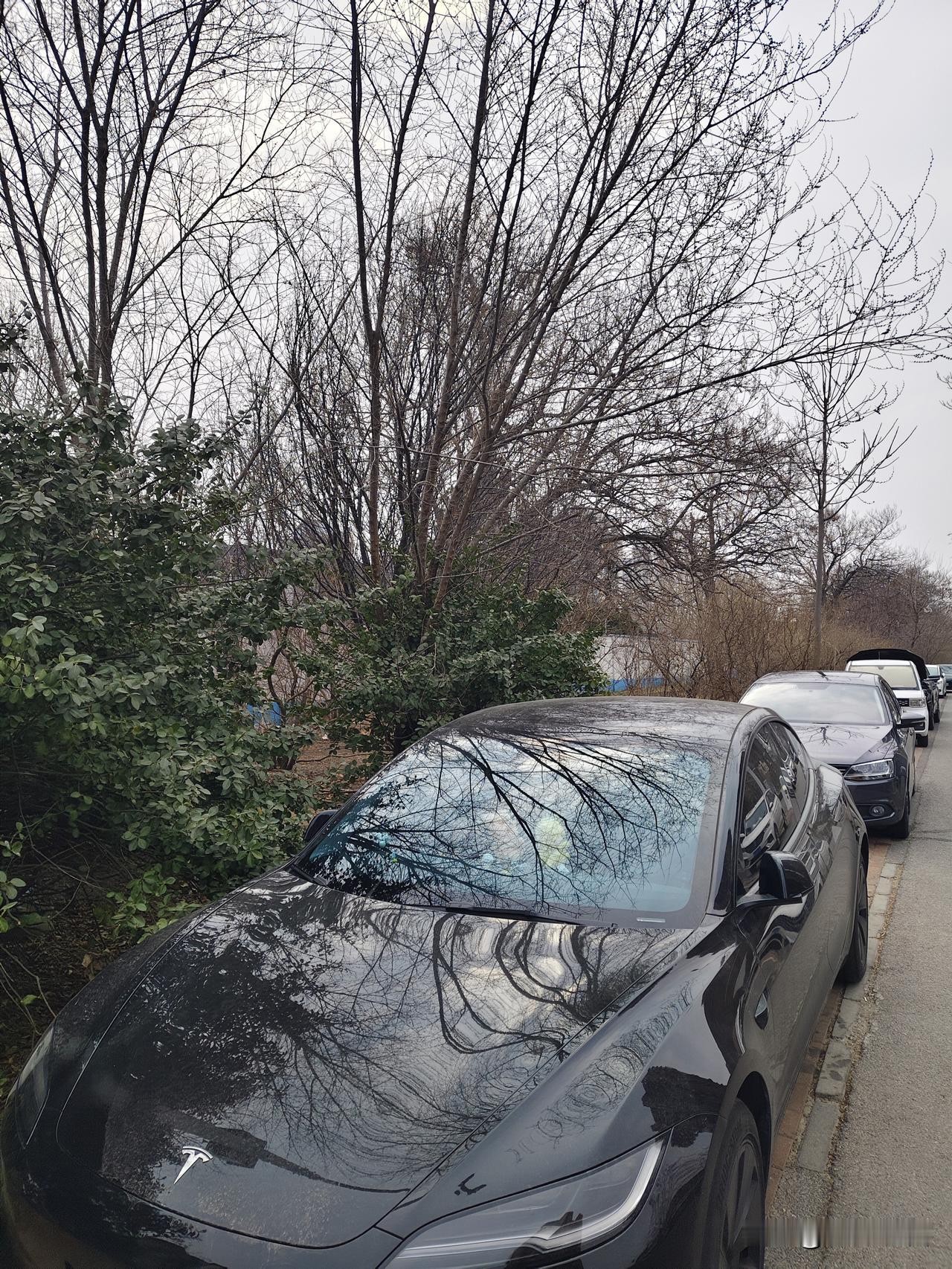 感谢信:
感谢好心人为我们广大城市市民免费修建了这么一个简易厕所！
光明路凤凰世