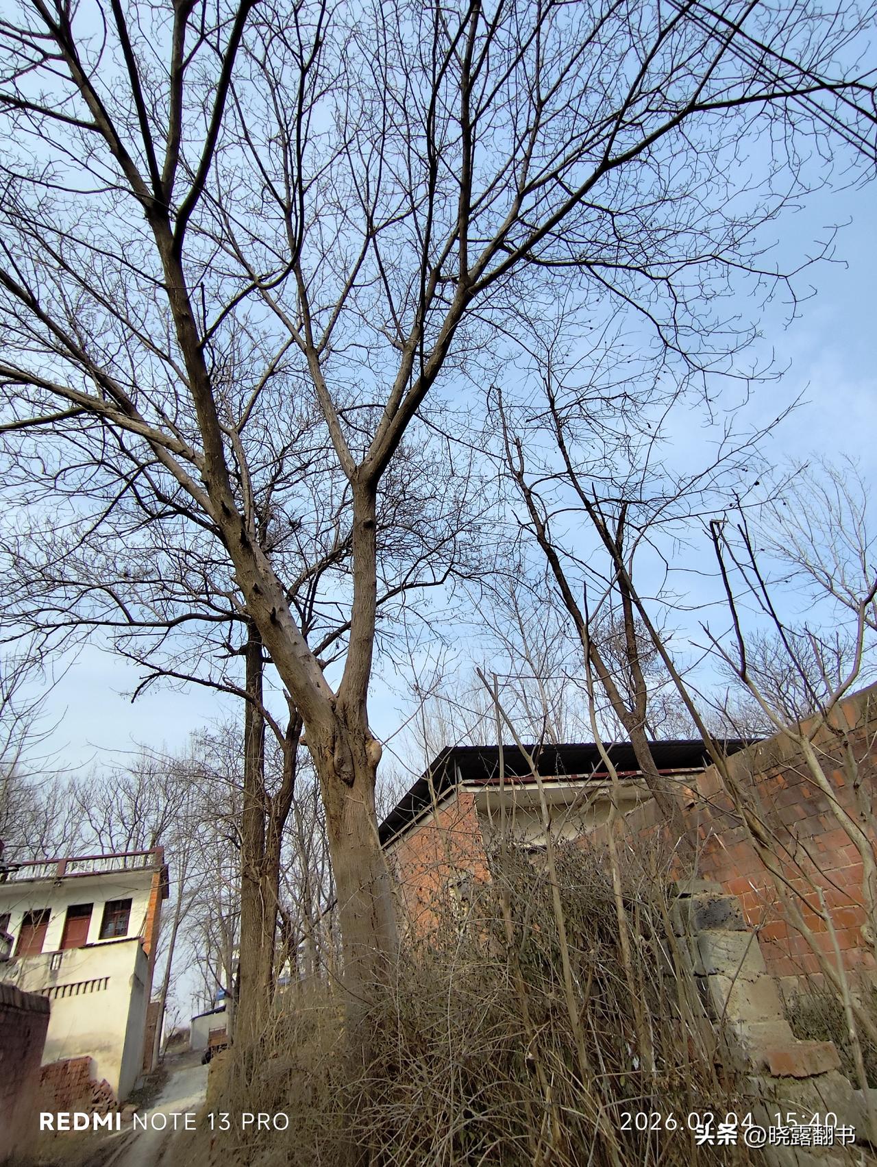 躲不开

后来我不想了。直到长大，我才慢慢懂了。

可奶奶已经走了，那年我6岁。