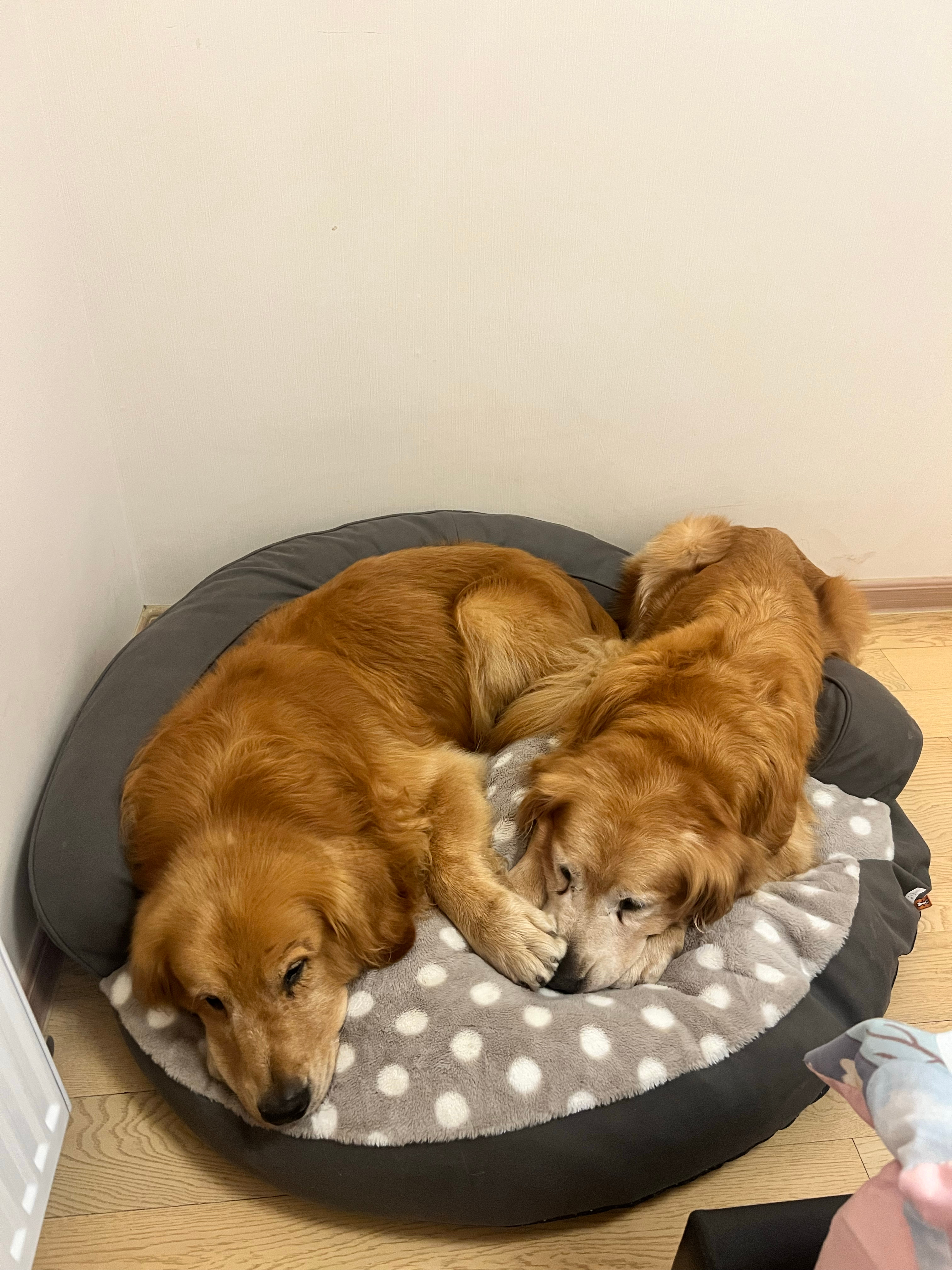 哈哈哈哈 晚安啦同吃同住同睡的兄弟[doge] ​​​