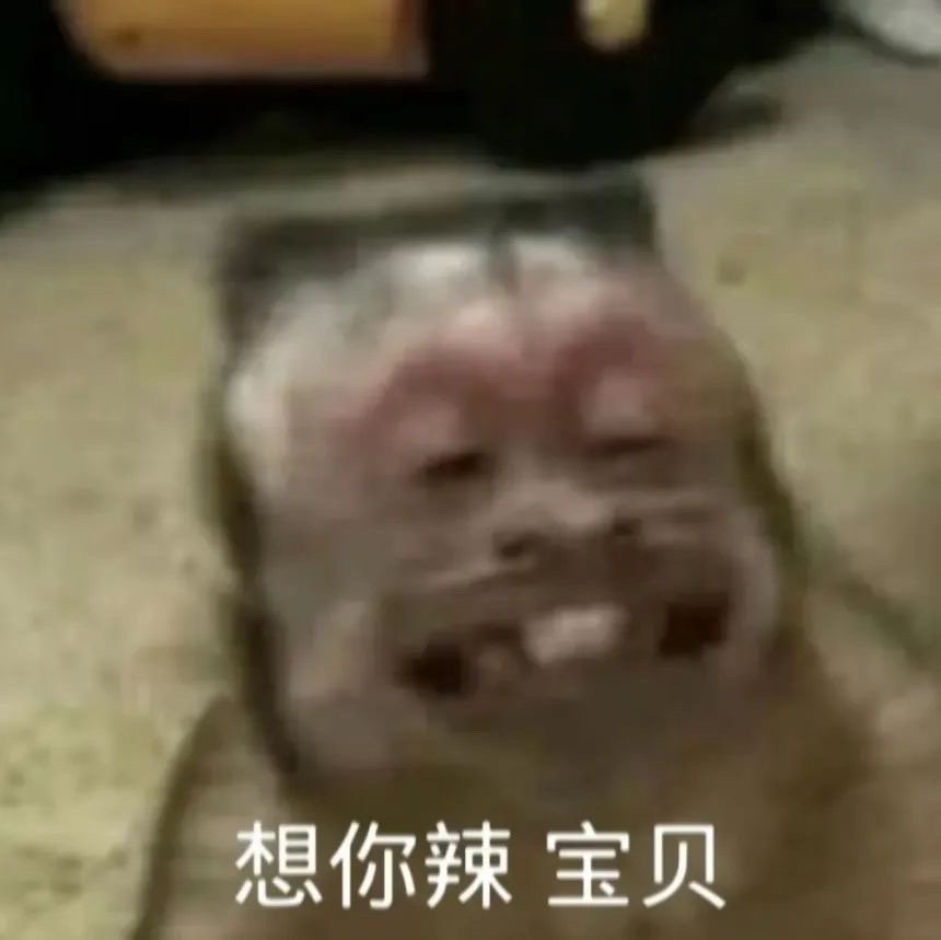 得了一种看到猴子就忍不住想保存的病[允悲] ​​​