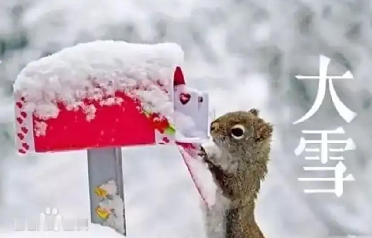 七绝.大雪

冰河冻岭冷冬晨，
雪落无声养岁新。
一野沉沉增寂寞，
关山万里守年