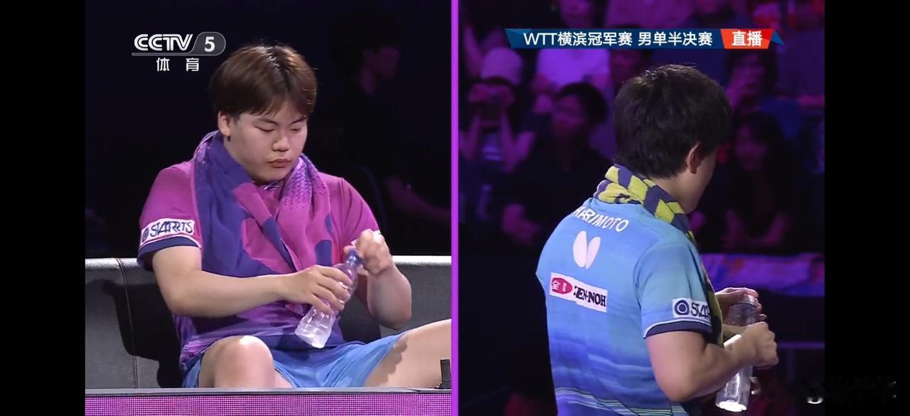 松岛辉空和张本智和的比赛，为什么更多的观众希望张本智和赢呢？因为他的中国血统？不