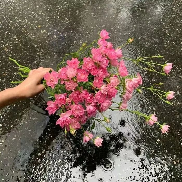 🌧𝐑𝐚𝐢𝐧𝐲 𝐃𝐚𝐲𝐬“下雨了，没带伞的又不止我一人，淋湿的