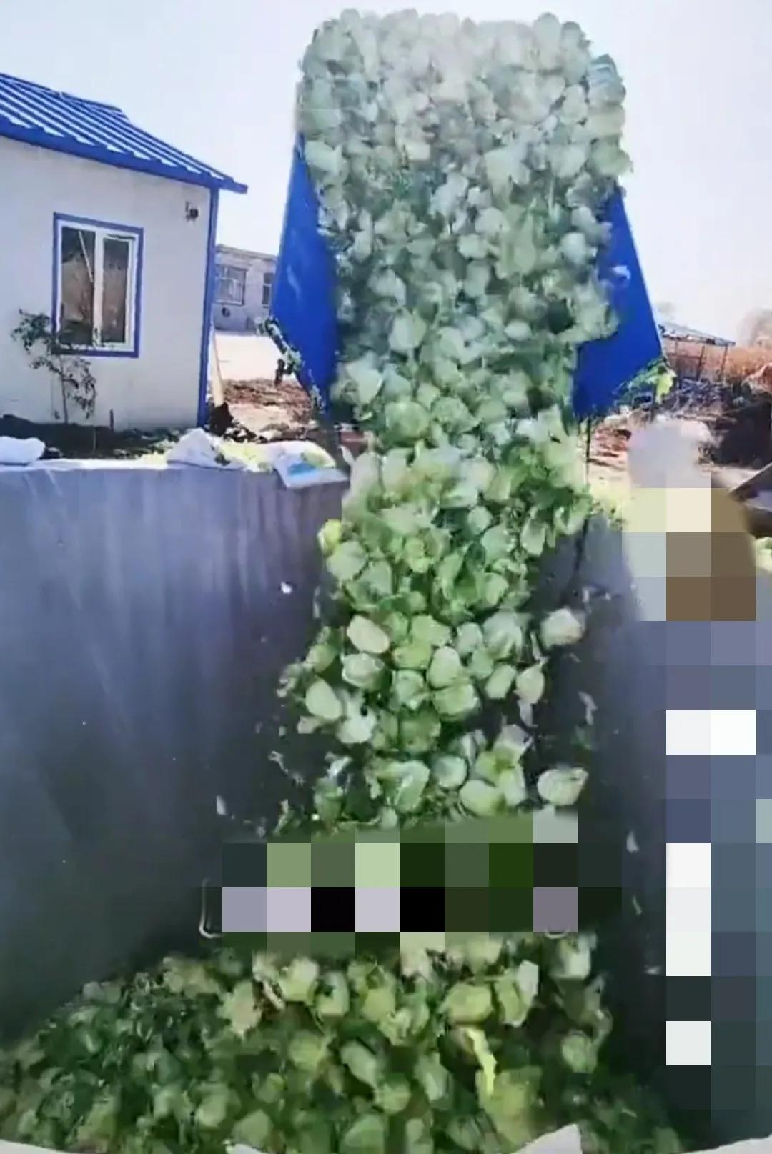 这就算卫生条件不错了，我们这边腌制酸菜，之前都是在大地里挖坑，蒙塑料布，大粒盐。