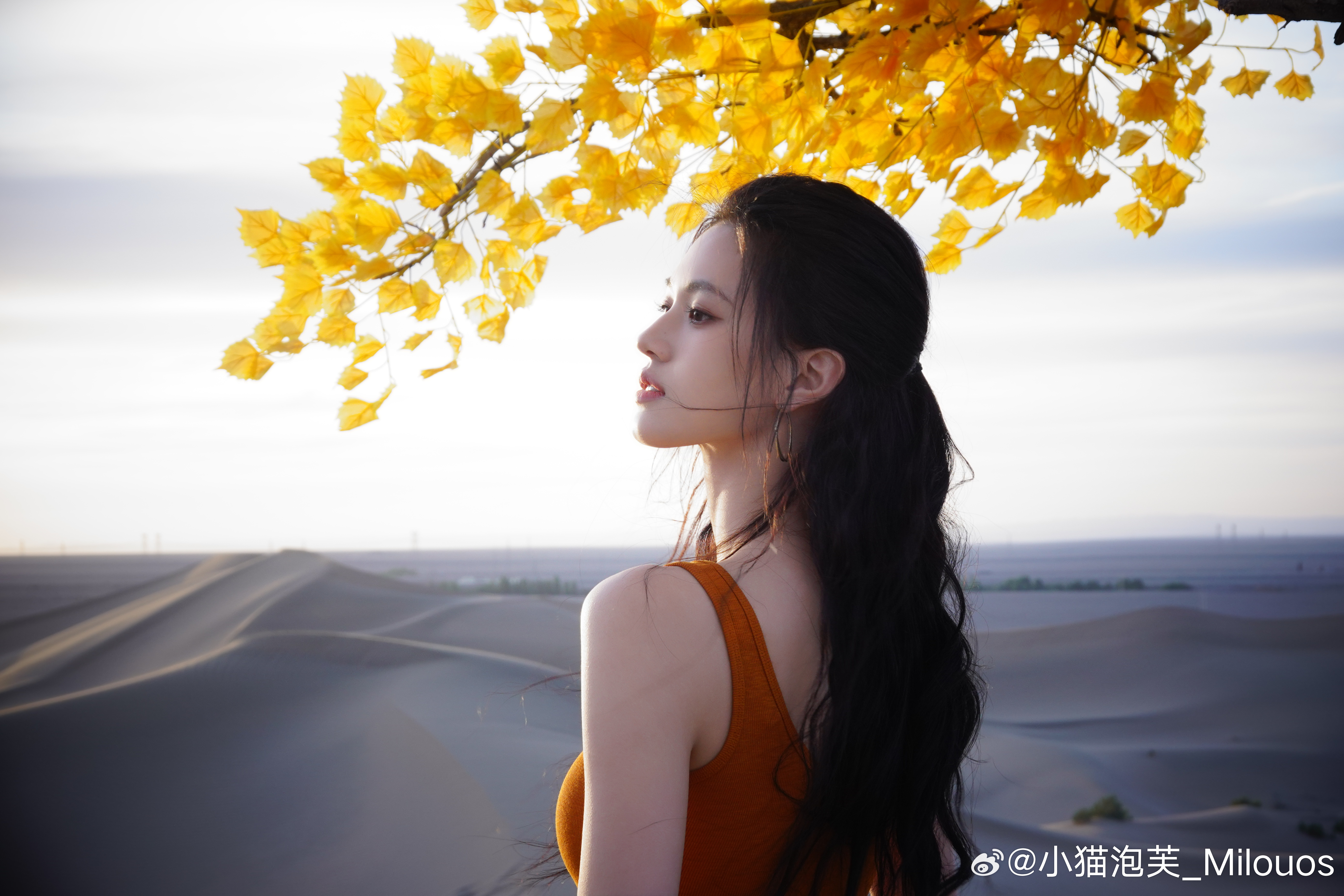 沈羽洁  🪶沈羽洁 🪶向全世界安利沈羽洁 沙漠里唯一的红玫瑰🌹