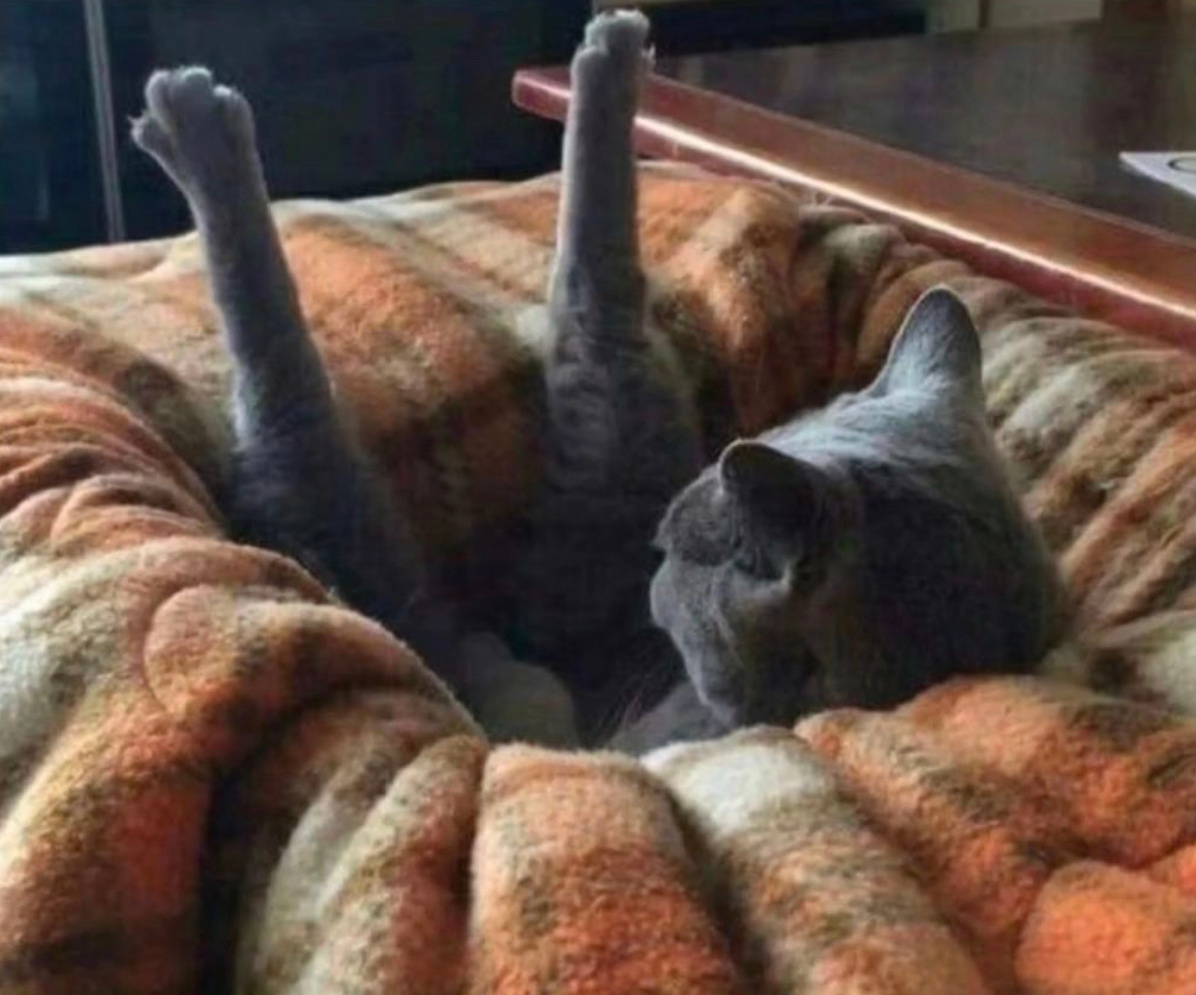 - ​​​