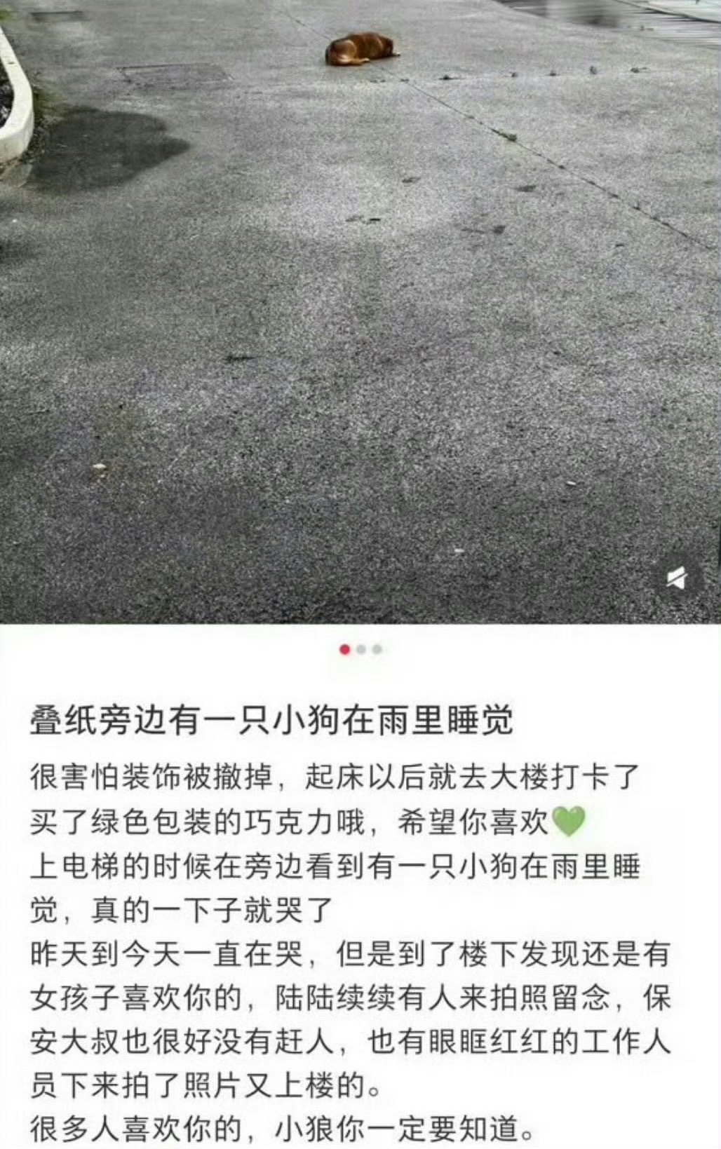 【】请归还小狗的睡觉自由 