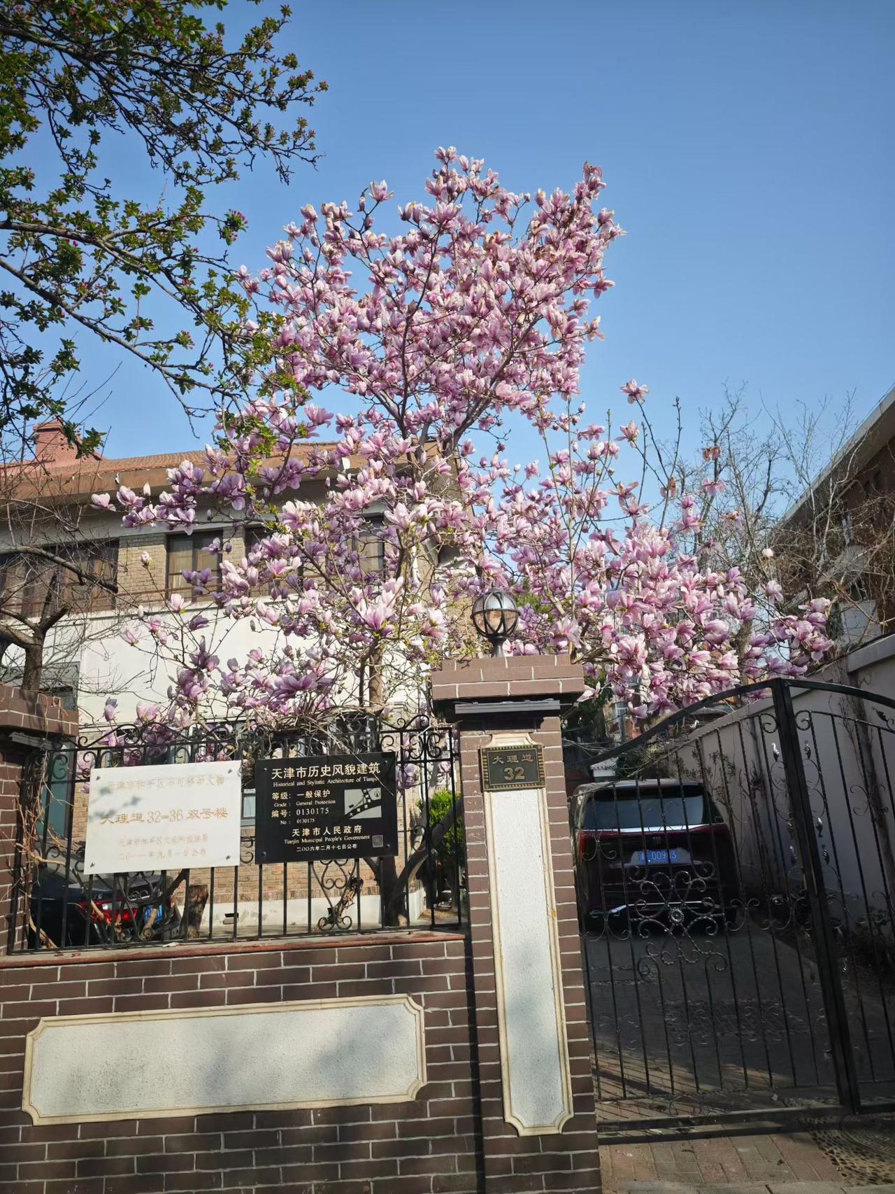 一帘烟雨杏花红