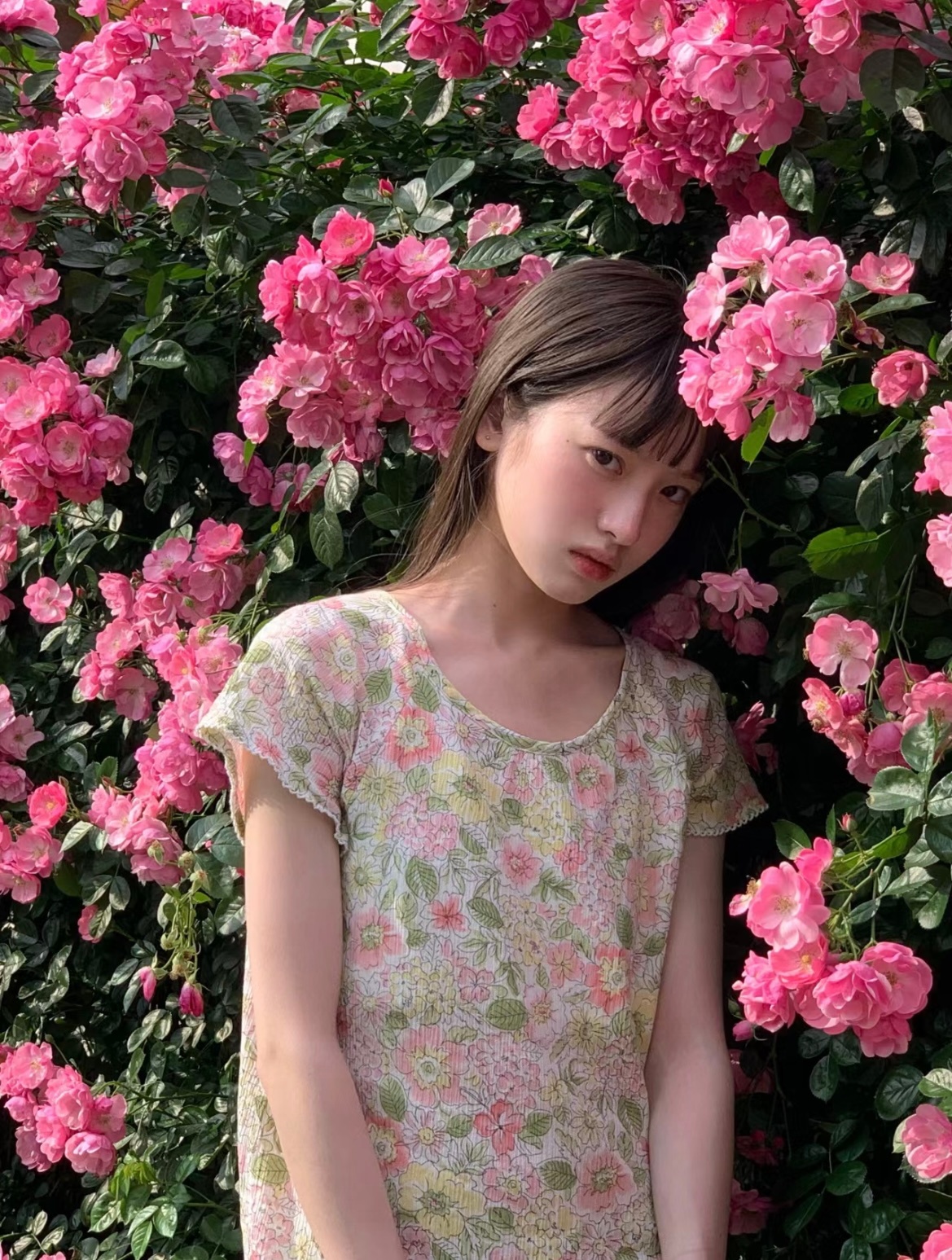 存一些蔷薇花拍照姿势💐 ​​​