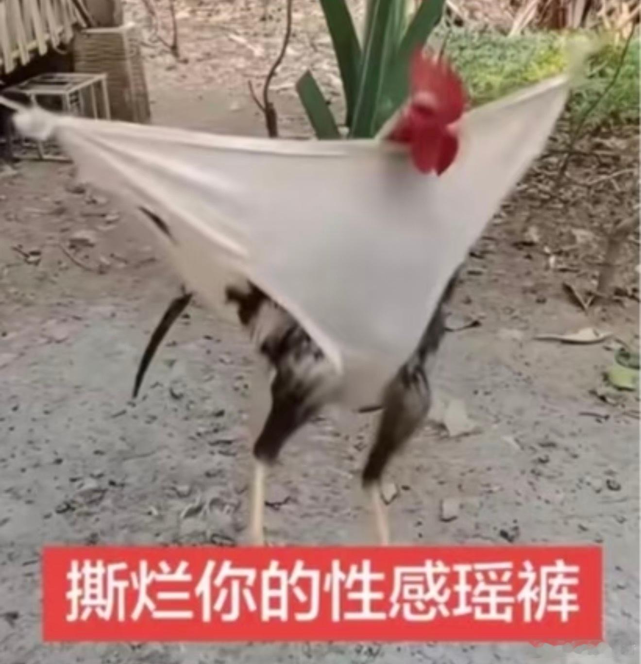 想成成想成成想成成想成成想成成想成成 ​​​